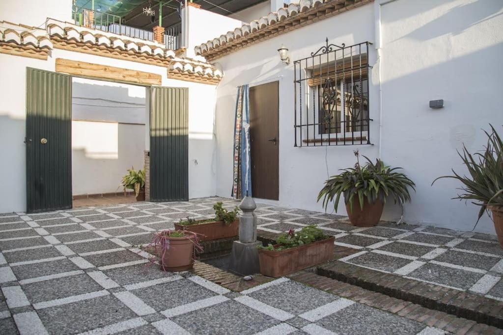Lolas Cozy Studio Granada Buitenkant foto